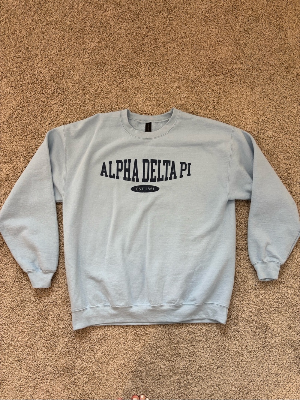 Gildan Light Blue Alpha Delta Pi Crewneck Sweatshirt